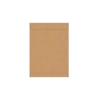 Envelope Saco Kraft 24x34 80g 0167 C/10 Foroni